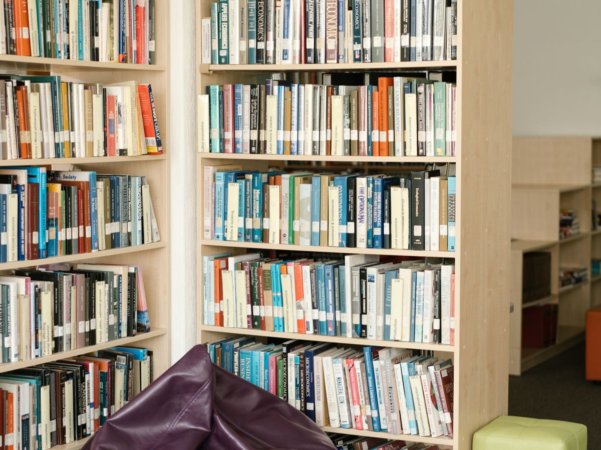 A calm school library corner with stocked bookshelves and a reading area